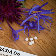 ApoSte-Energiesprays und Auraprodukte mit homöopathischen Kügelchen und einer lila Blume auf einer natürlichen Holzoberfläche.